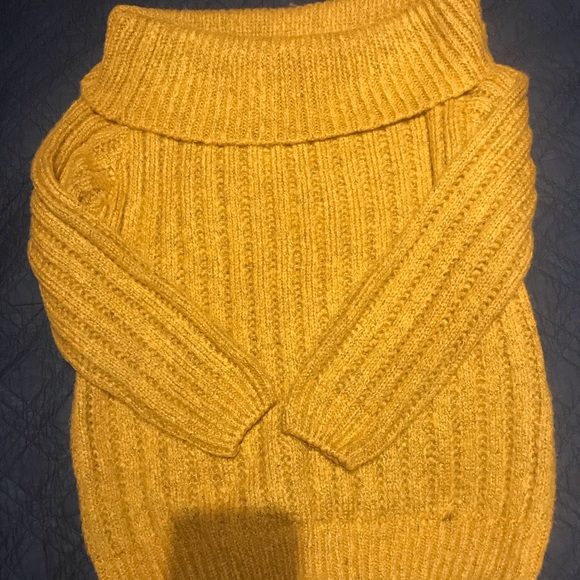 Sweater - Picture 3 of 5